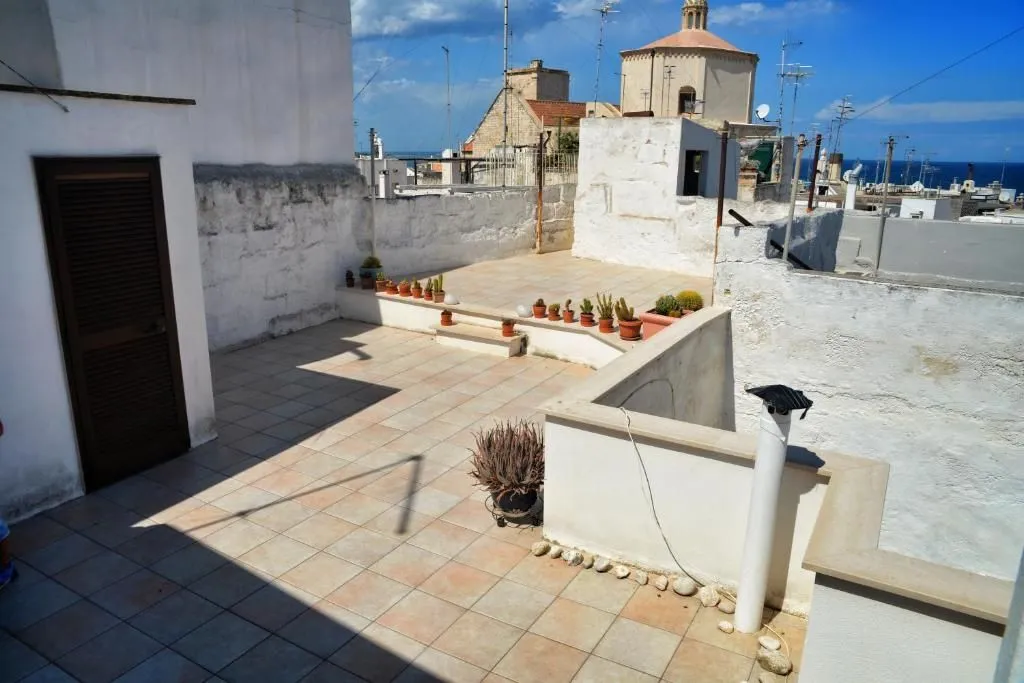 An editorial style image showcasing a sun-drenched rooftop terrace, offering a glimpse of residential architecture and distant views. The scene features white-washed walls, tiled flooring, and various potted cactus plants, typical of Mediterranean or southern European settings. In the background, other buildings and a church dome are visible under a blue sky.