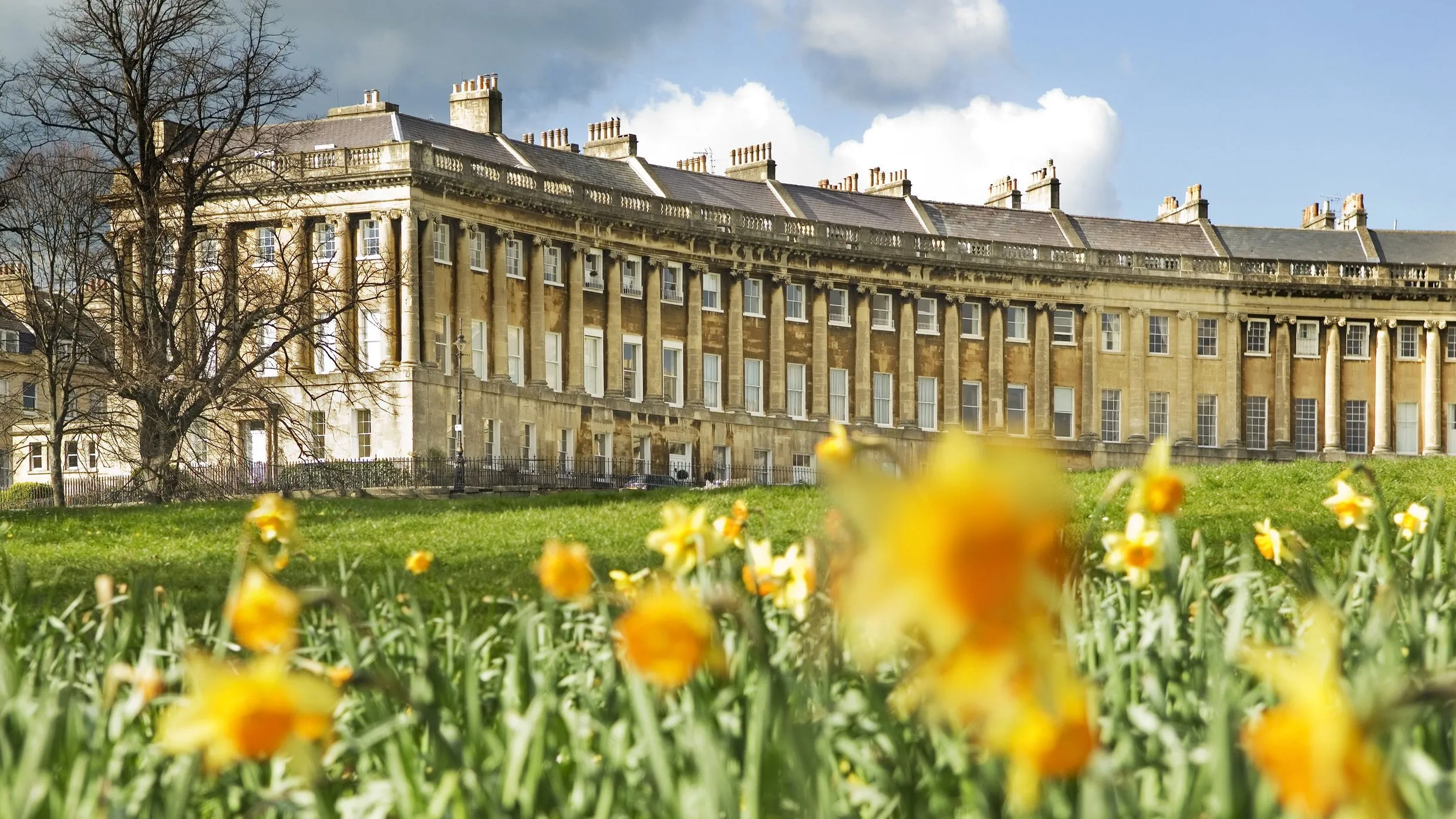 An editorial image featuring the Royal Crescent in Bath, England, framed by a soft-focus foreground of yellow daffodils. The historic building stands prominently under a bright, partly cloudy sky.