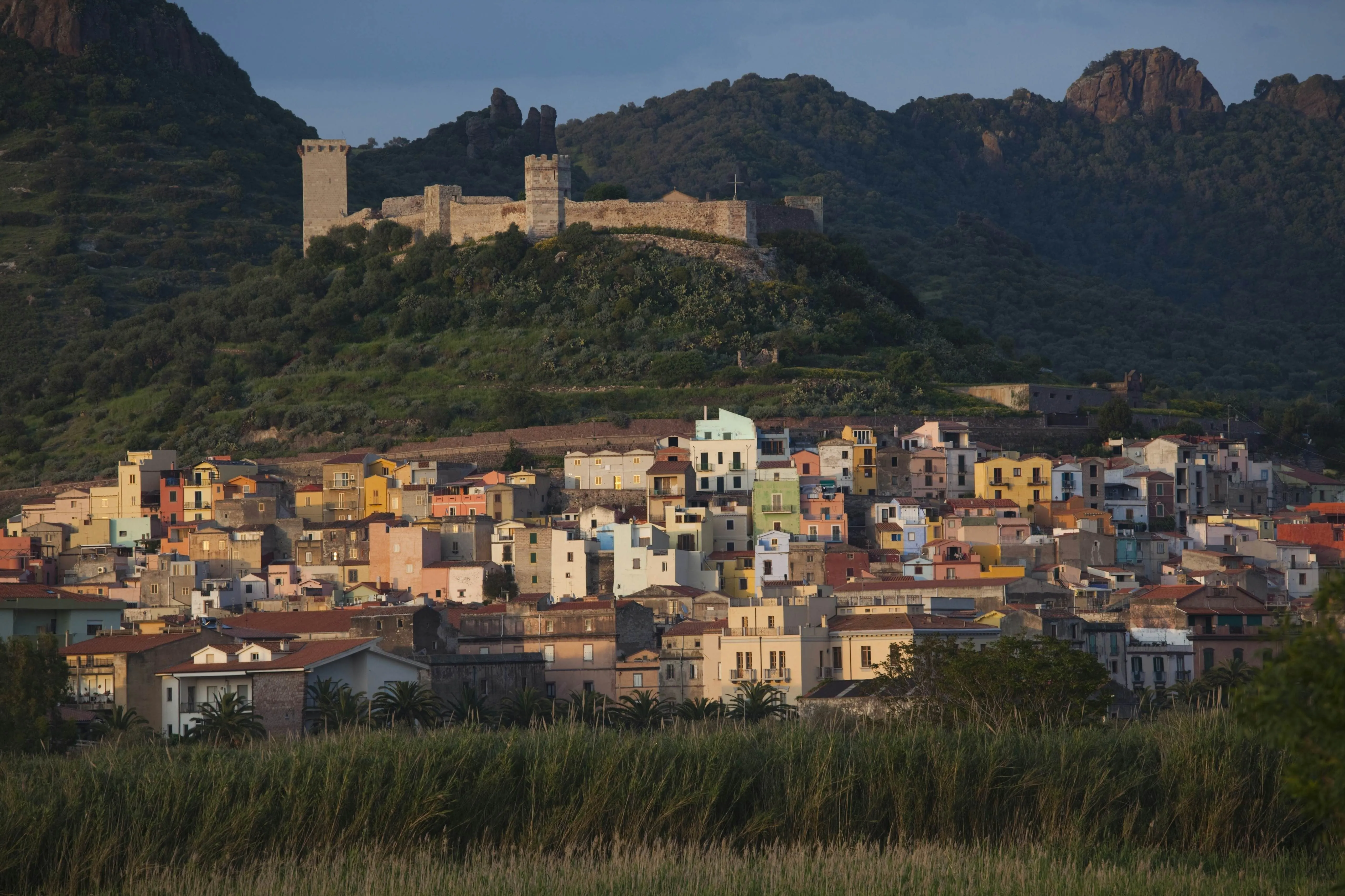 A scenic view of a colorful town nestled beneath a historic castle on a hillside, with tall grass in the foreground.