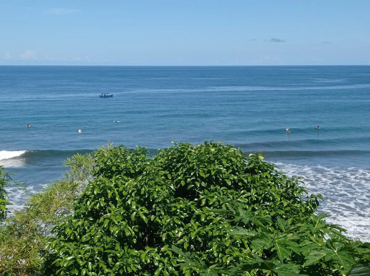 A vibrant and clear image of the ocean under a blue sky, framed by green foliage in the foreground. A small boat is visible in the distance, and there are some surfers in the water. The scene is well-lit and appears natural.