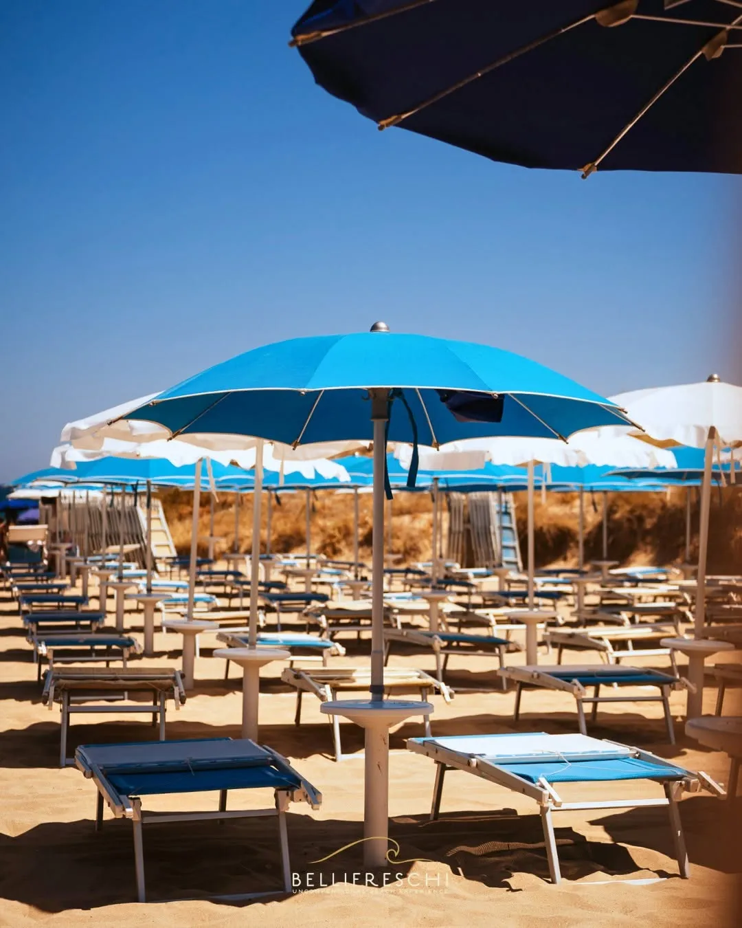The image features a sunny beach with numerous blue and white beach umbrellas and rows of lounge chairs on the sand, under a clear blue sky.