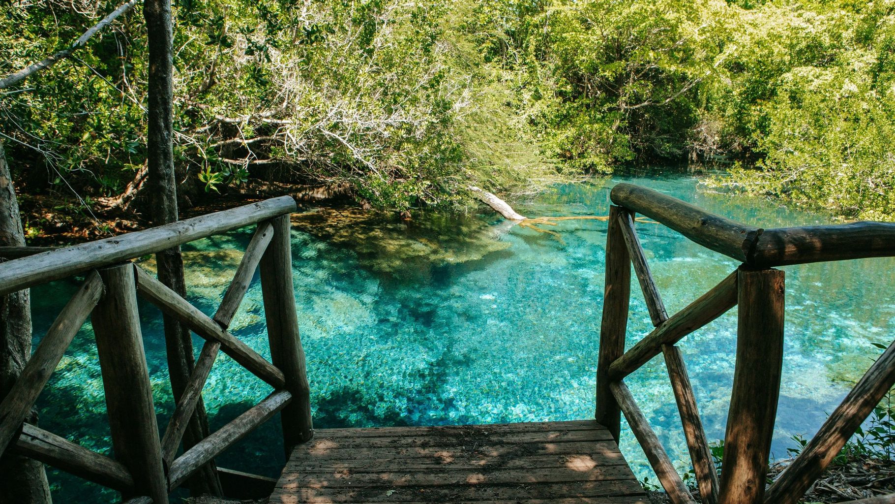 Indigenous Eyes Ecological Reserve - 4