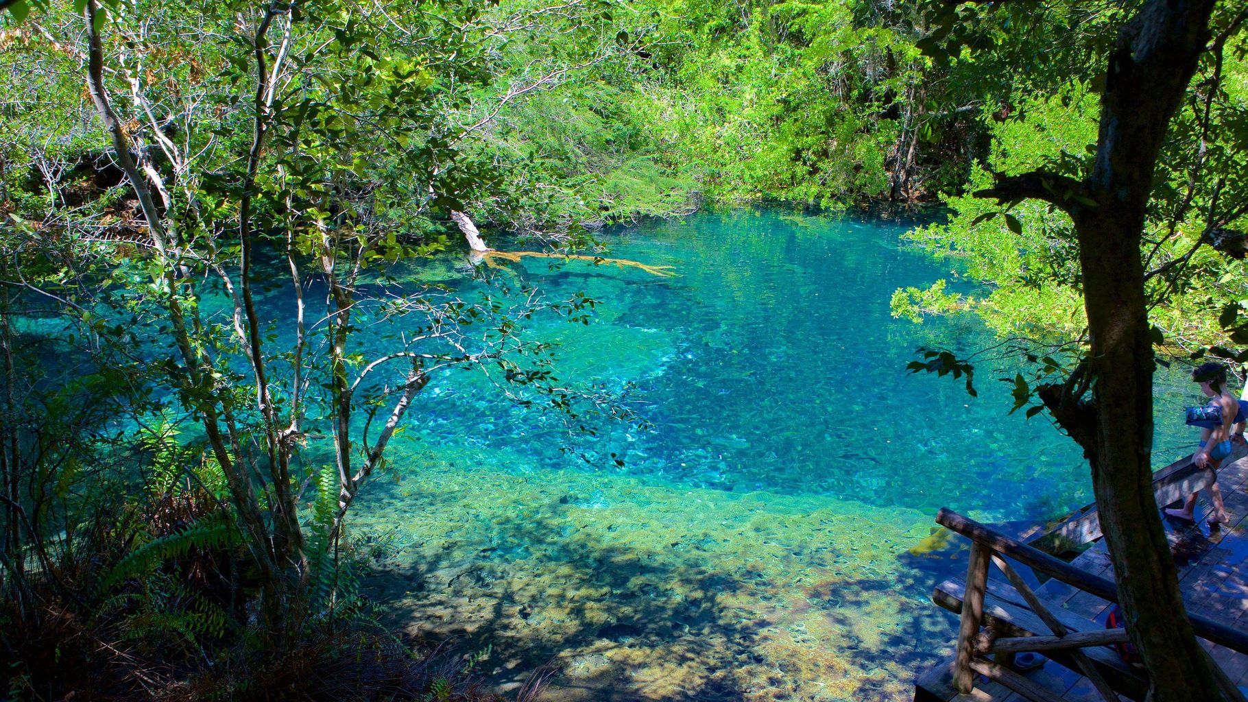 Indigenous Eyes Ecological Reserve - 2
