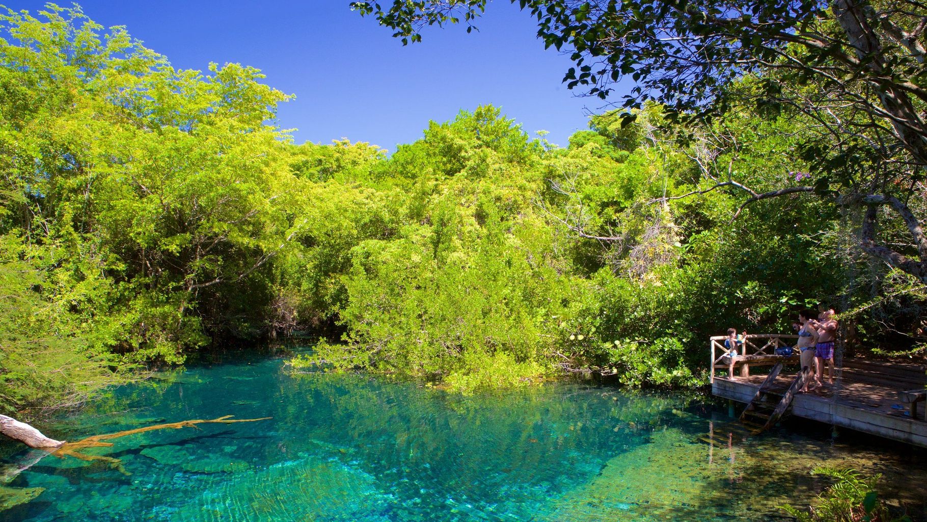 Indigenous Eyes Ecological Reserve - 3