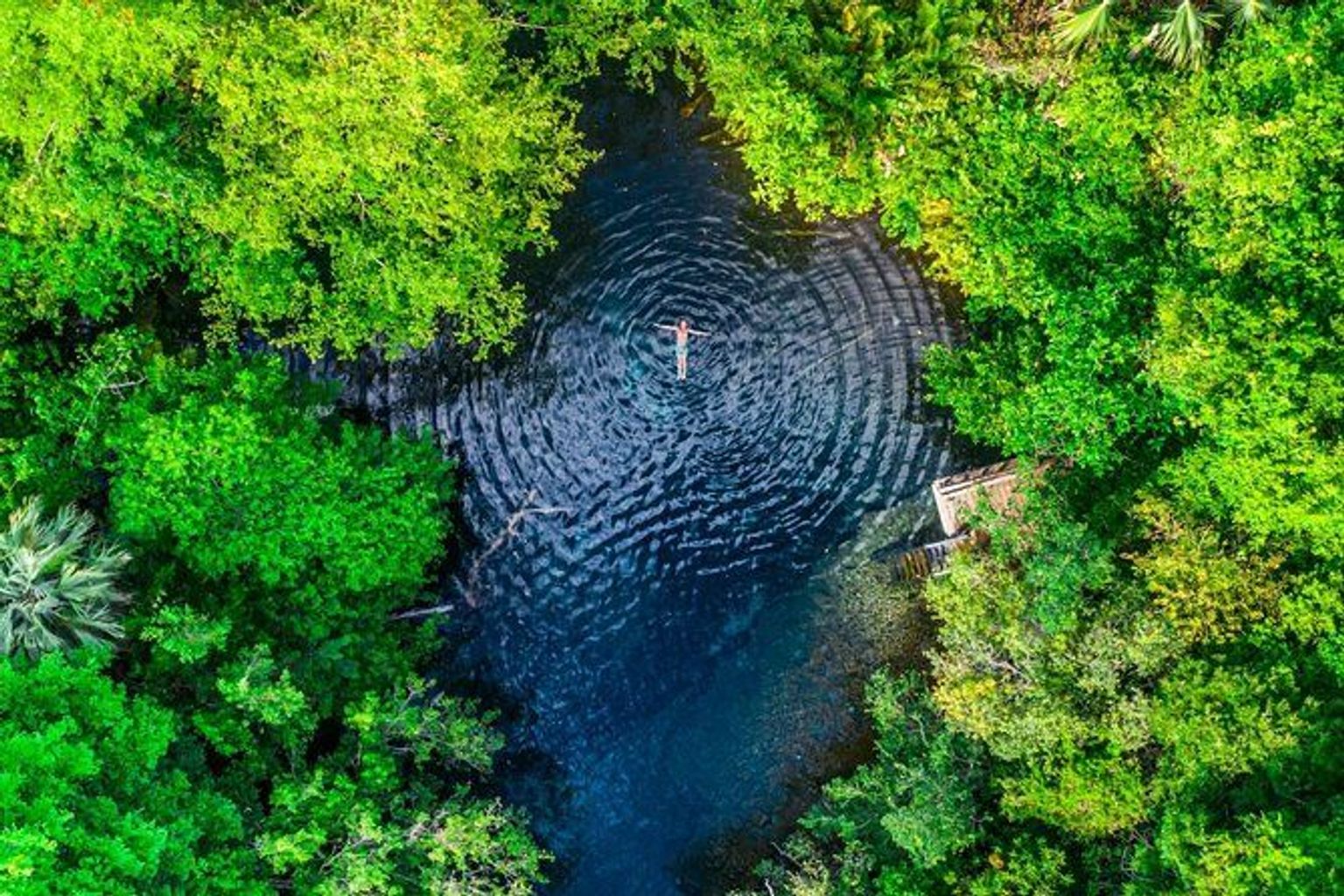 Indigenous Eyes Ecological Reserve - 1