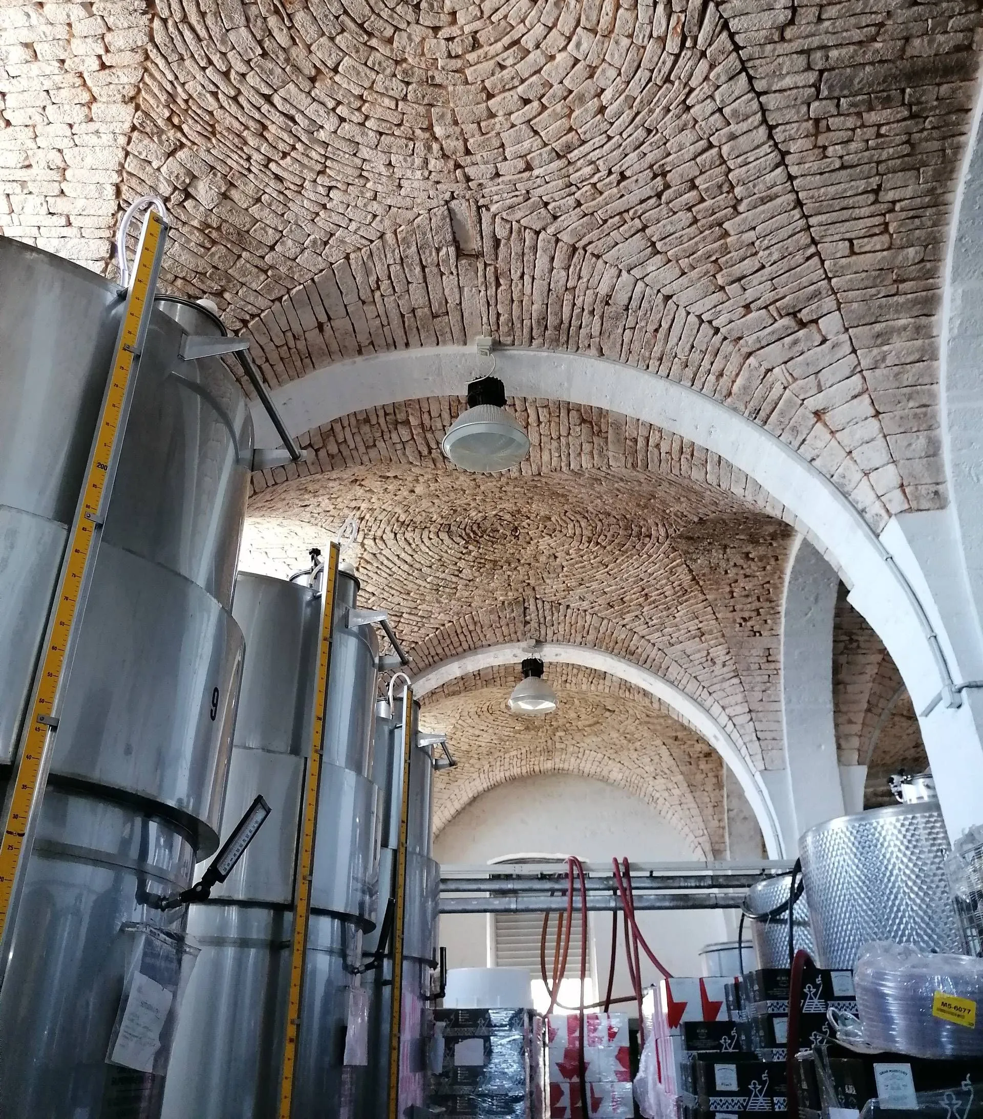 An editorial image showcasing large stainless steel fermentation tanks under a distinctive vaulted brick ceiling, likely within a winery or brewery. The composition highlights both the industrial equipment and the unique architectural elements of the space.