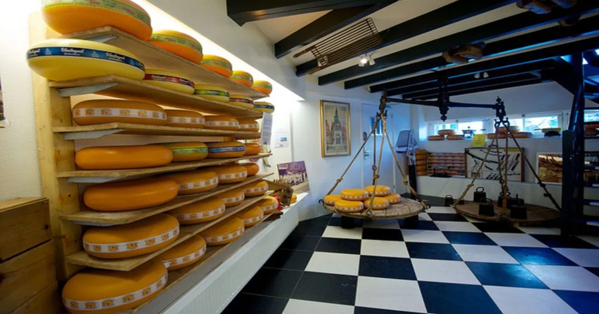 An interior view of a traditional cheese shop, featuring numerous wheels of cheese displayed on wooden shelves and a large hanging scale also laden with cheese. The floor is covered with a distinctive black and white checkered pattern.