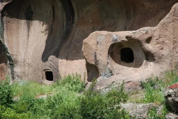 An image depicting ancient rock formations featuring carved openings or dwellings, surrounded by natural green vegetation. The scene is illuminated by natural light, casting distinct shadows.