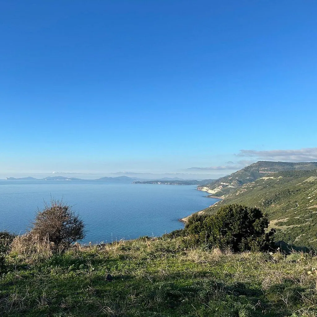 A serene wide shot of a vast blue sea under a clear sky, viewed from a grassy hillside with distant landmasses visible on the horizon.