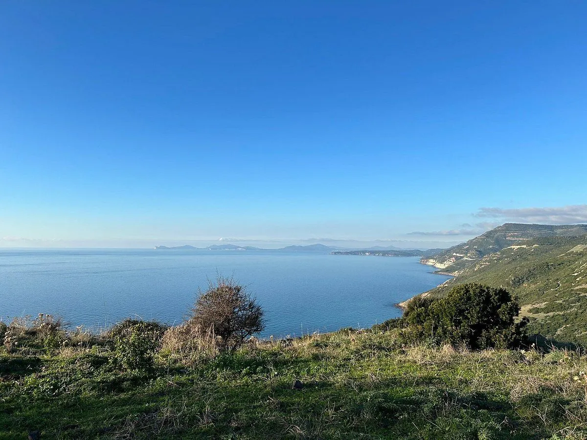 A serene wide shot of a vast blue sea under a clear sky, viewed from a grassy hillside with distant landmasses visible on the horizon.