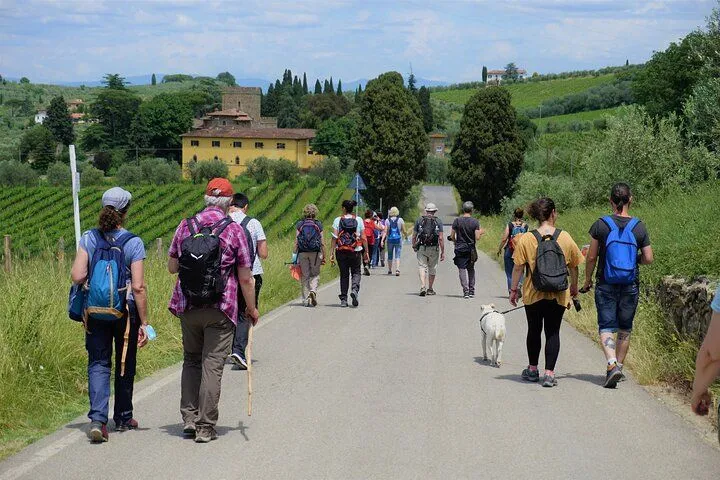 An editorial style image showing a group of people hiking on a paved road through a rural landscape, featuring vineyards and distant buildings under a clear sky.