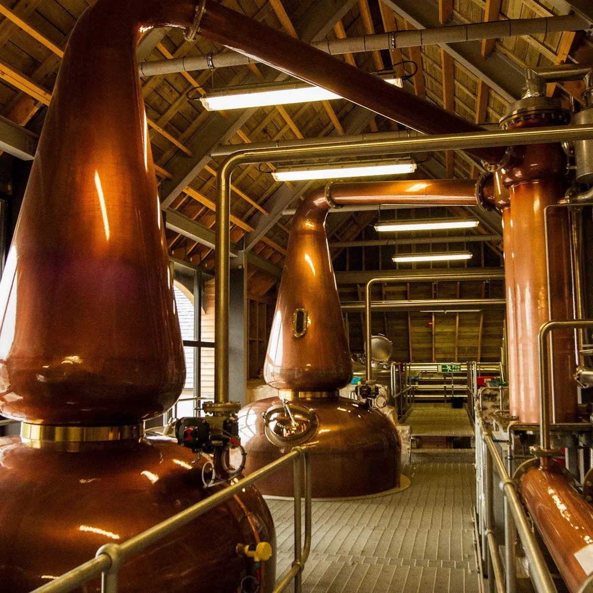 An interior shot of a distillery showcasing multiple large, gleaming copper pot stills and their intricate network of pipes, set within a building with a high wooden ceiling.