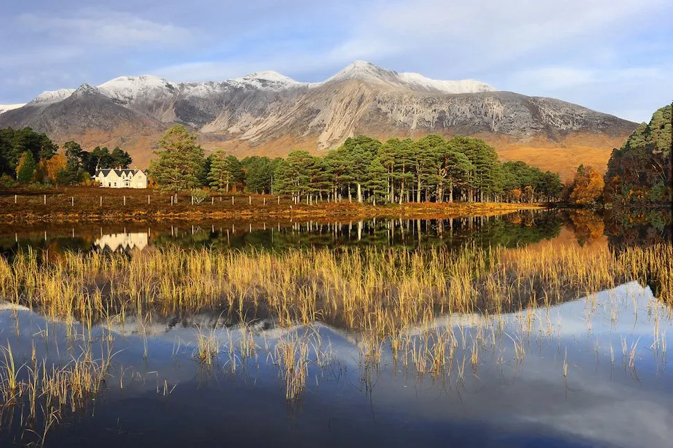 A beautiful and serene landscape featuring snow-capped mountains, a dense line of trees, and a calm body of water reflecting the scene perfectly. Golden reeds in the foreground add texture and depth, with a small white house visible on the left side of the frame.