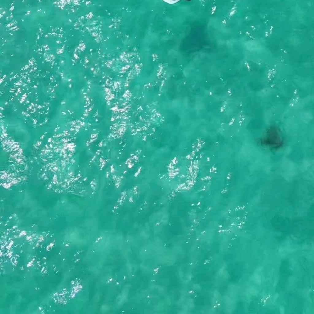 E-foil Cancun - 10