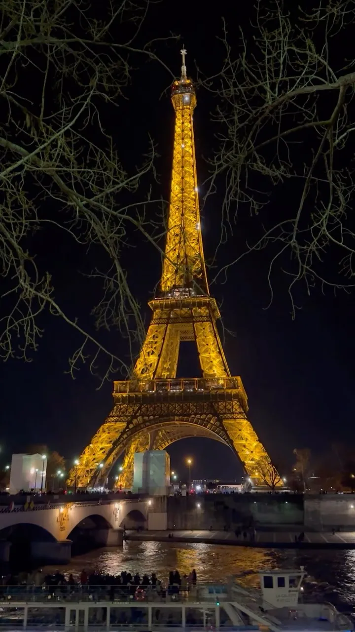 A nighttime view of the iconic illuminated Eiffel Tower in Paris, framed by dark, bare tree branches against a dark sky.
