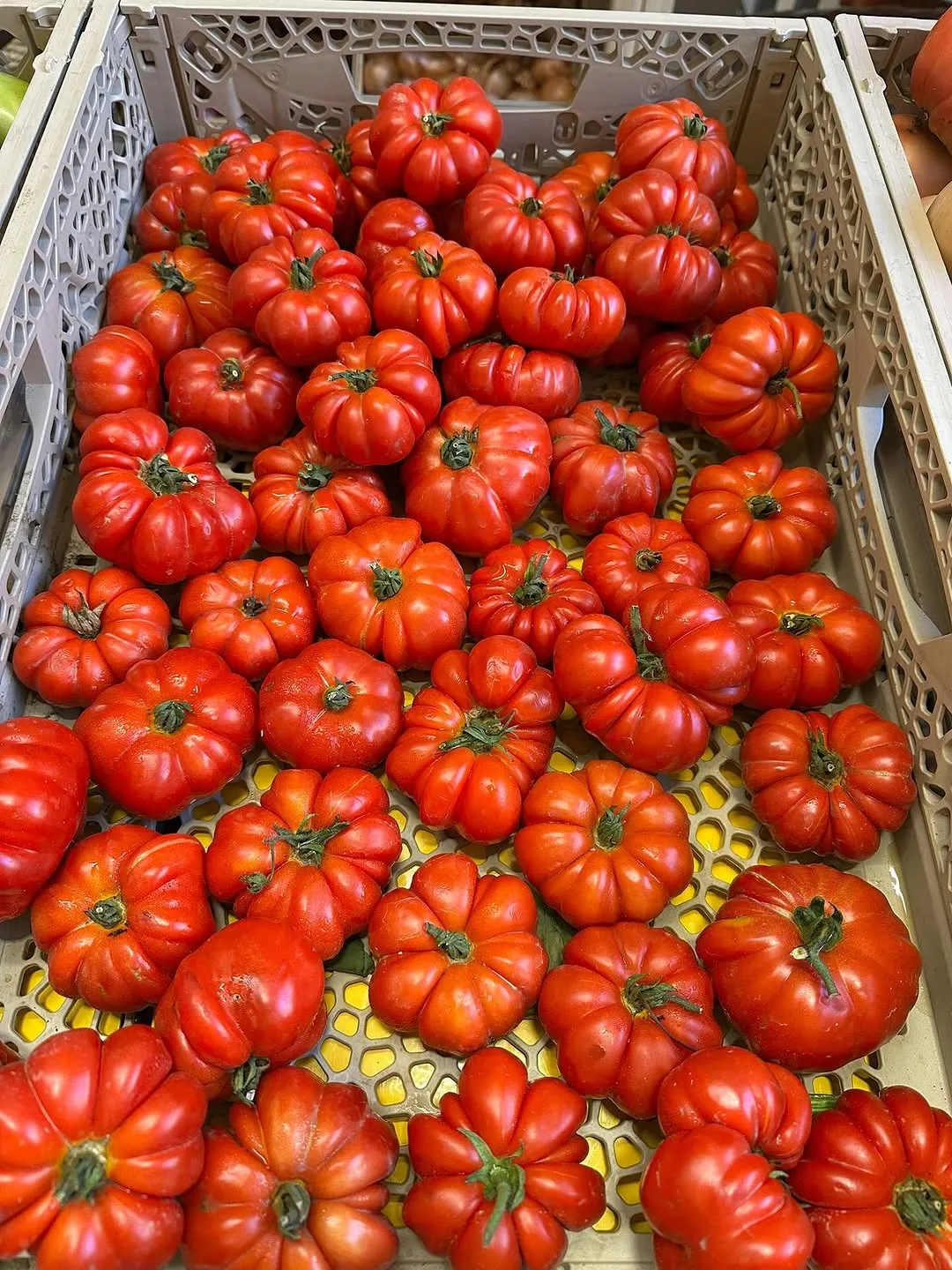 A vibrant, close-up shot of a crate filled with ripe, red heirloom tomatoes. The irregular shapes and rich color of the tomatoes are prominently featured, filling the frame and showcasing their natural beauty.