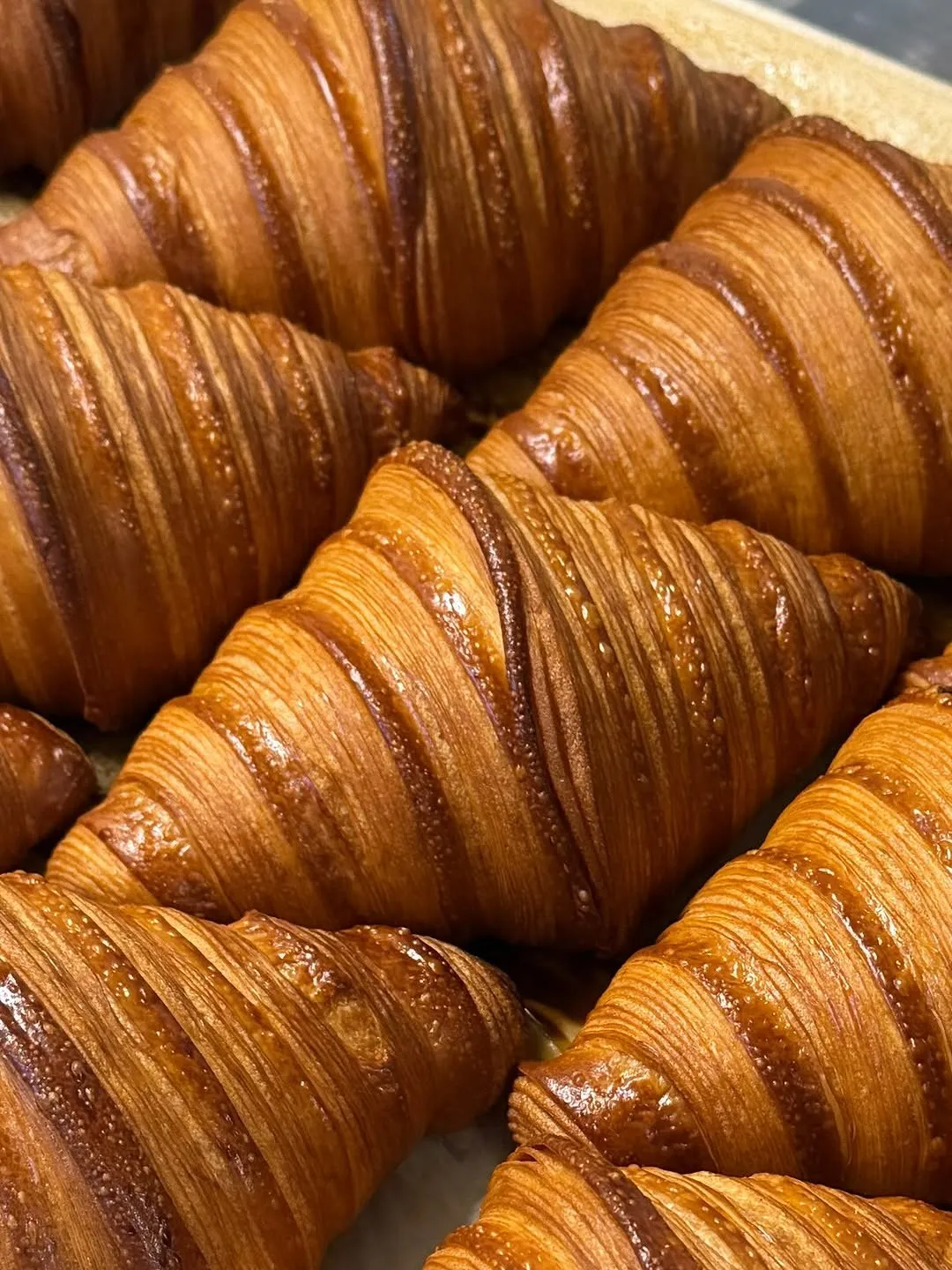 A close-up shot of multiple golden-brown, glossy croissants. The image highlights the flaky texture and rich color of the pastries.