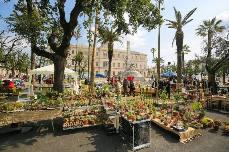 The image displays a lively outdoor market scene, likely a plant market, with numerous potted plants, including succulents and cacti, arranged on tables in the foreground and mid-ground. People are seen browsing and walking through the market. In the background, there is a large classical building with a fountain or monument in front of it, framed by trees and palm trees under a clear sky. Tents and stalls are visible throughout the market area.