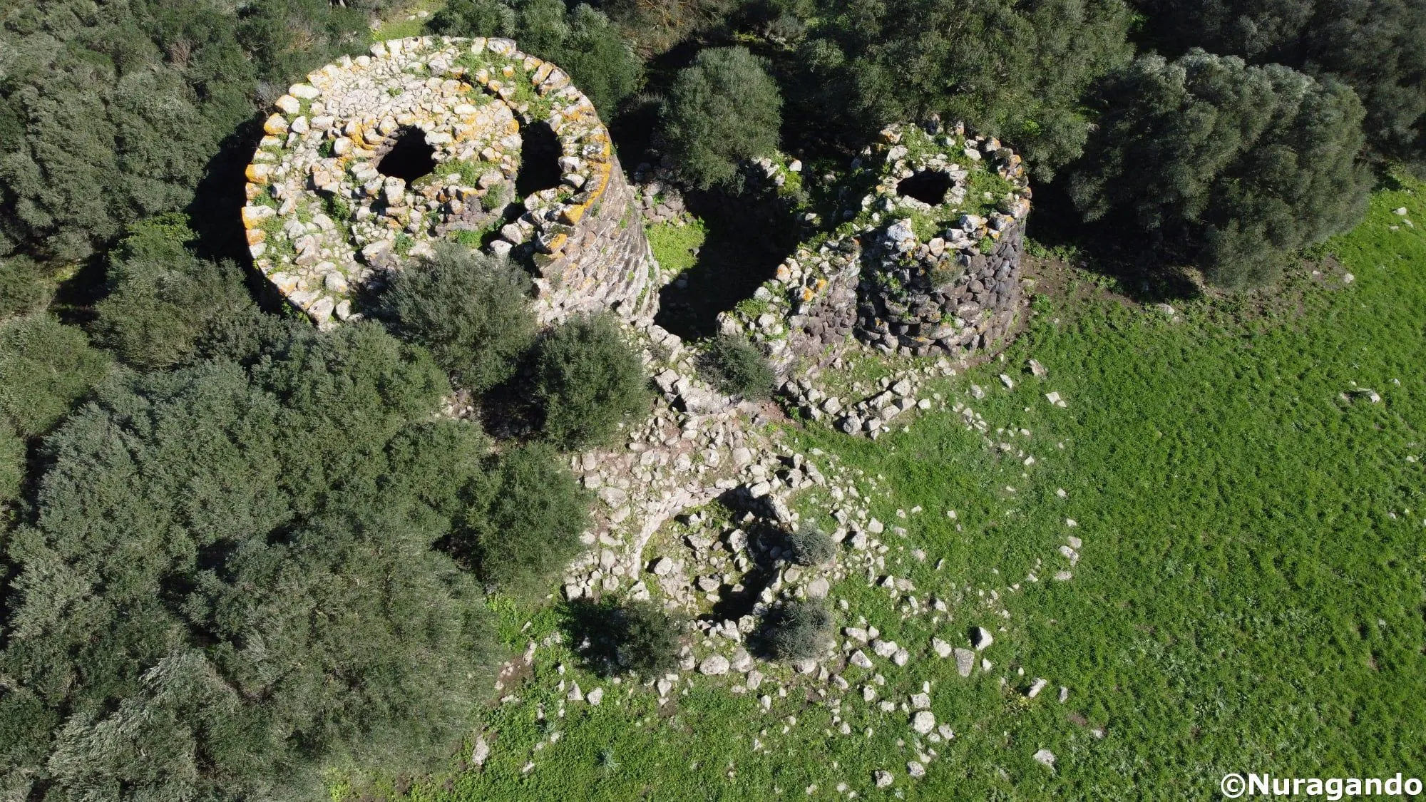 An aerial view captures ancient stone structures, likely Nuraghi, nestled amidst green grass and sparse trees. The image showcases the architectural remnants with a clear and detailed perspective from above.