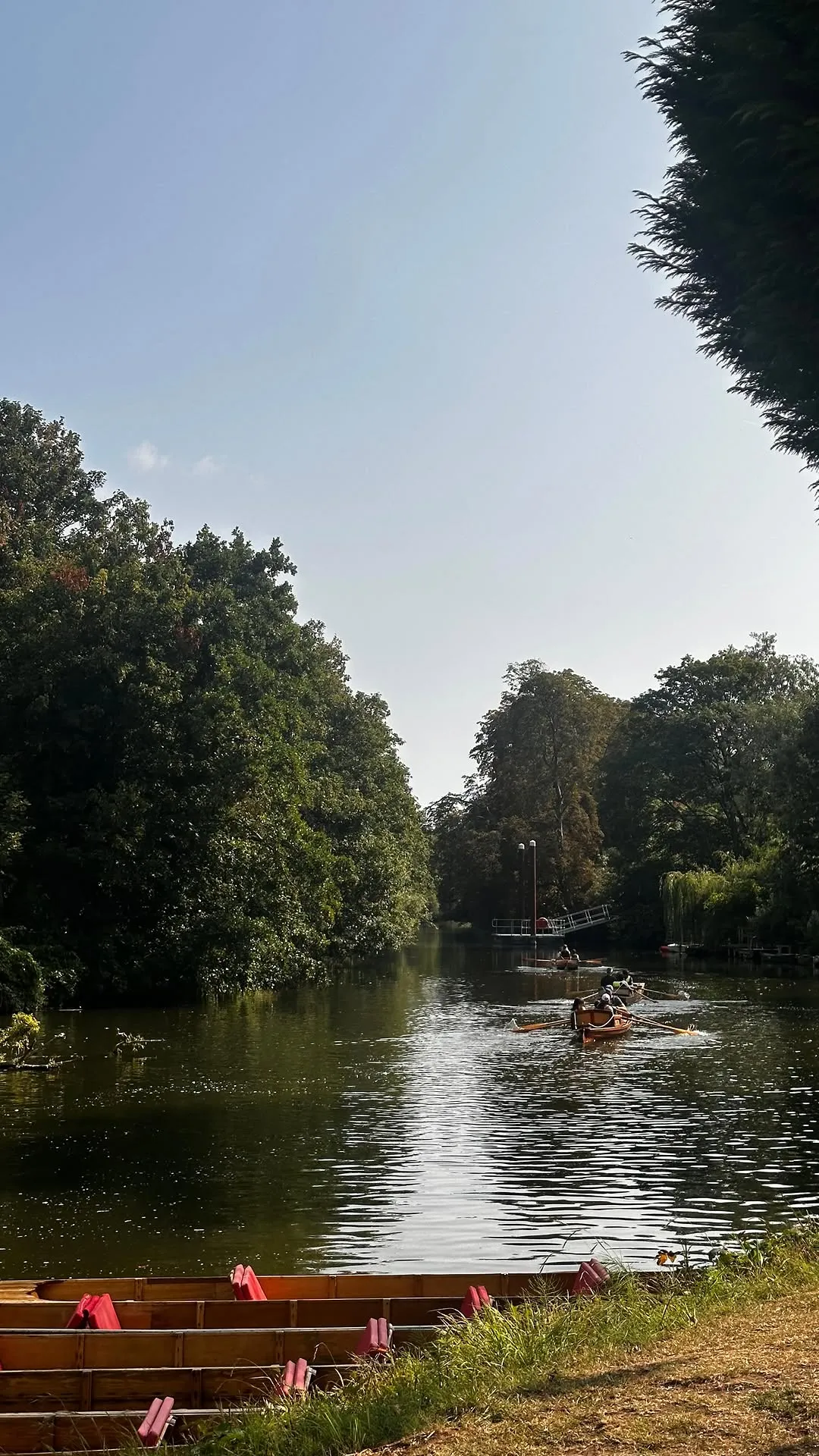 A well-composed and photo-realistic image depicting a scenic river or canal flanked by lush green trees, with several rowing boats and people on the water. The lighting is natural, and the colors appear accurate. All key elements are sharp and in focus.