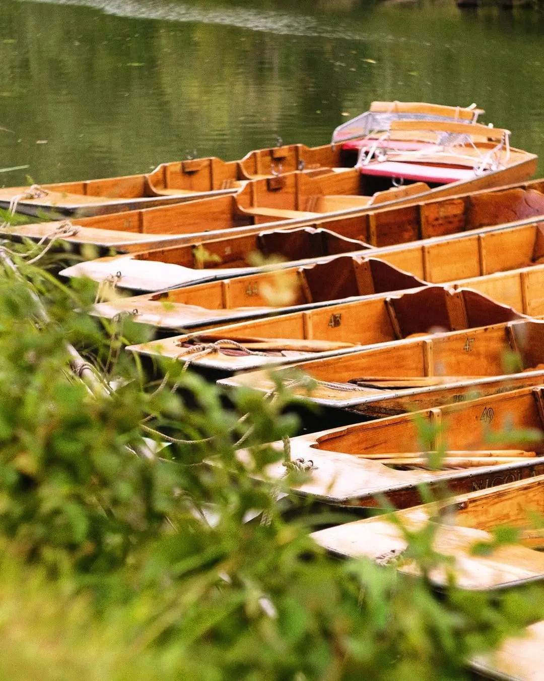 A serene image showcasing multiple wooden boats, likely punts, docked along a calm body of water with lush green foliage in the foreground.