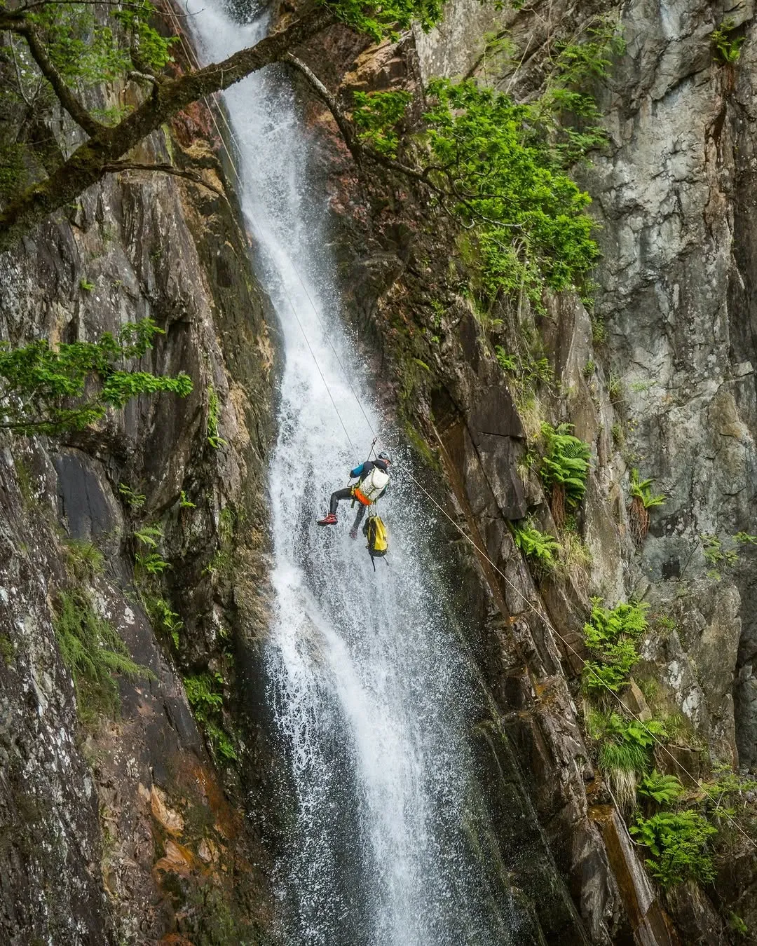 The image depicts a person rappelling down a powerful waterfall alongside a large, moss-covered rock face. Lush green foliage is visible at the top and along the cliffs.