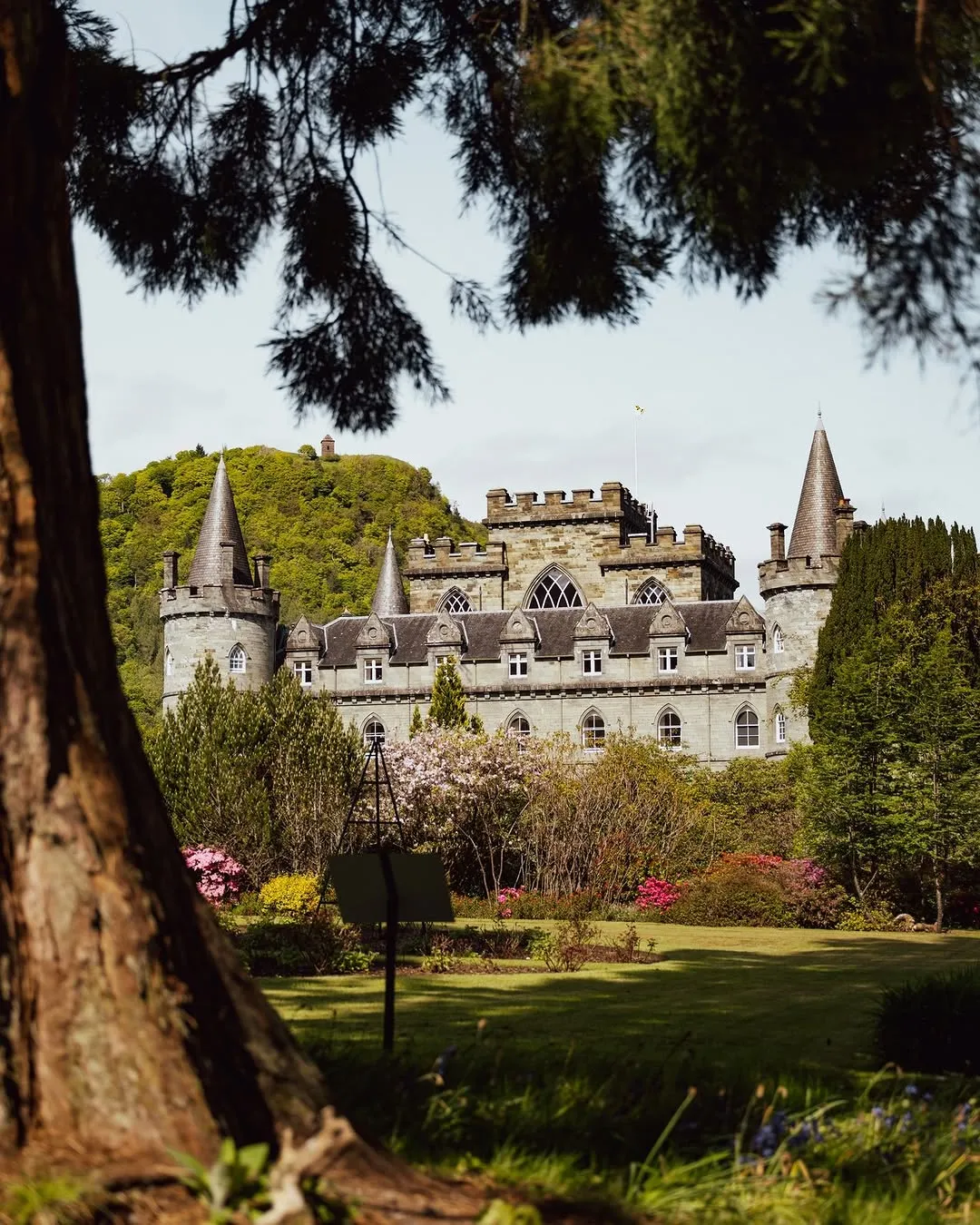 The image prominently features a historic castle set within a lush green landscape with surrounding trees and a well-maintained garden.