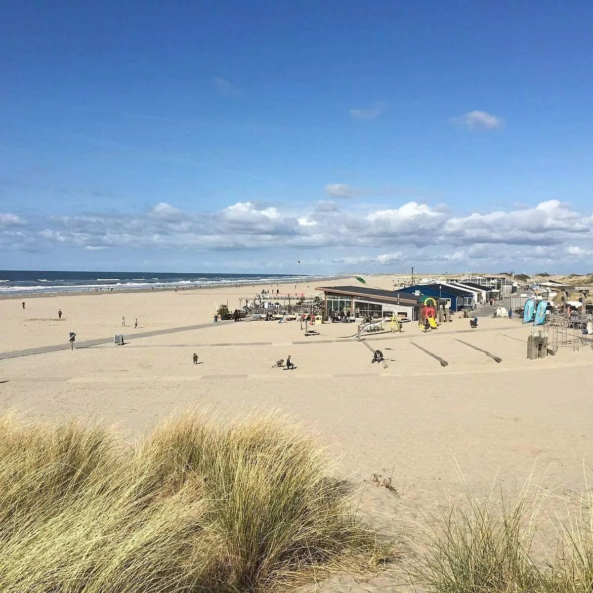 A wide, editorial-style shot of a bustling sandy beach on a sunny day, featuring a beachside cafe and various recreational structures, with people enjoying the area, the ocean in the background, and grassy dunes in the foreground.