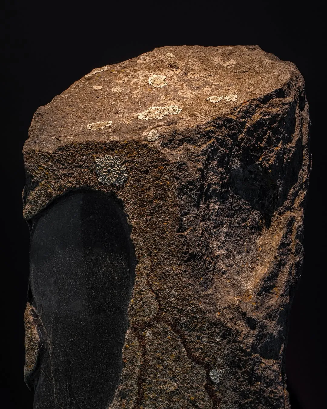 A detailed close-up of a textured rock with visible lichen, set against a dark background.