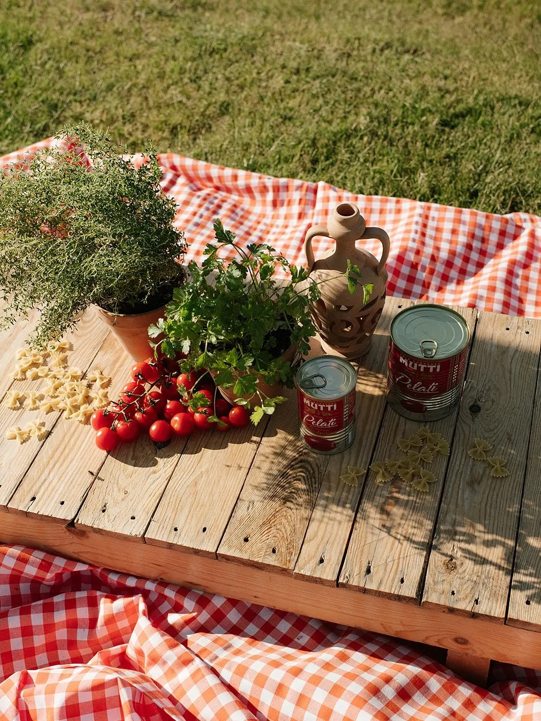 A flat lay image displaying various Italian food ingredients, including fresh cherry tomatoes, potted herbs (thyme and parsley), dry farfalle pasta, and two cans of Mutti peeled tomatoes. These items are arranged on a rustic wooden board, which rests on a red and white checkered blanket, with a glimpse of green grass in the background. An ornate terracotta vase is also part of the arrangement.