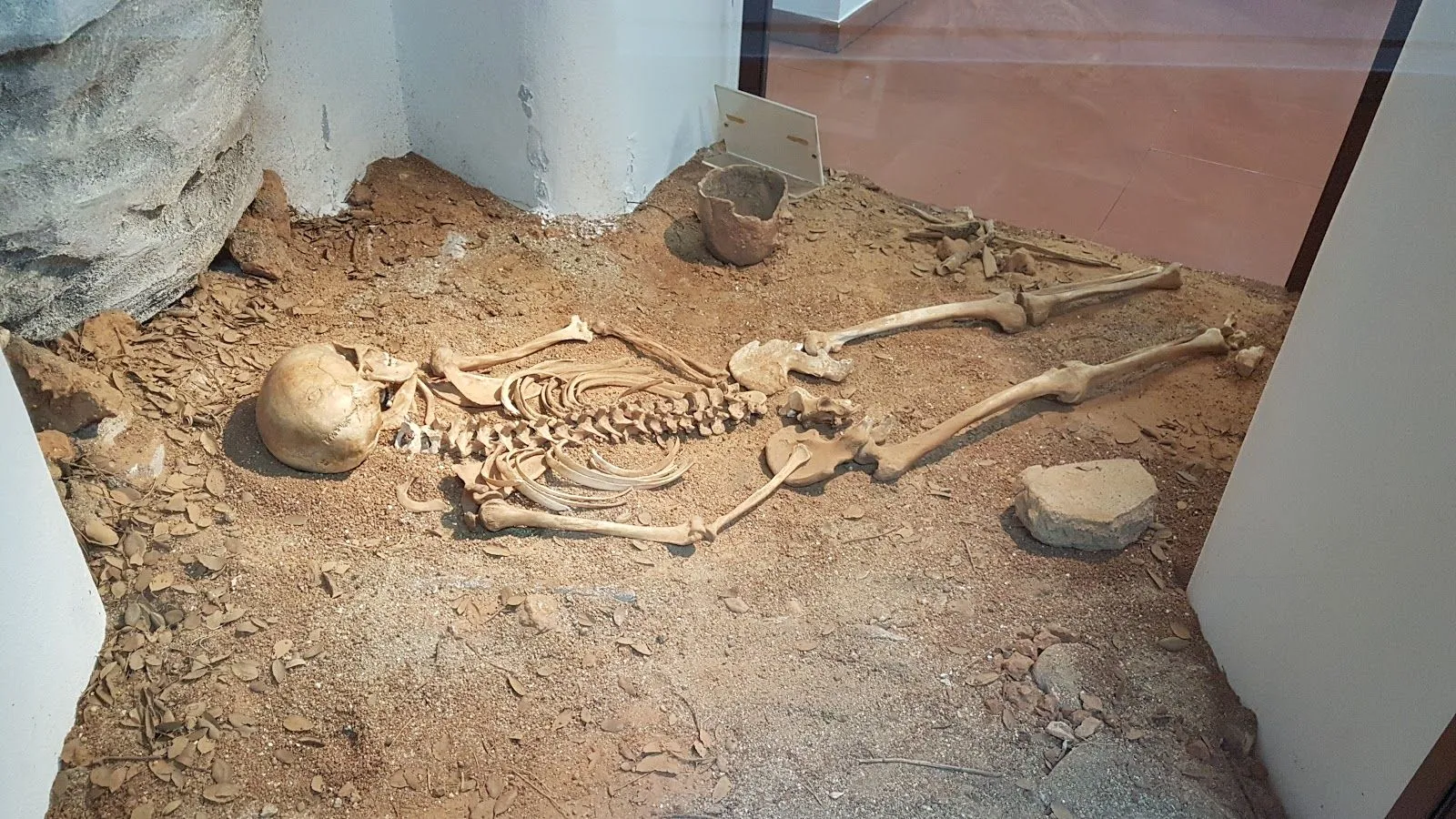 A human skeleton displayed in simulated earth, resembling an archaeological excavation site, likely part of a museum exhibit.