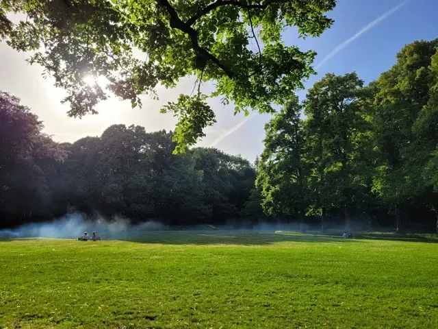 The image features a natural landscape of a park with lush green grass, dense trees, and a bright blue sky. Sunlight streams through the top left, creating a slight flare and illuminating the scene. A layer of smoke or mist drifts across the mid-ground, adding an ethereal quality. The overall impression is serene and natural.