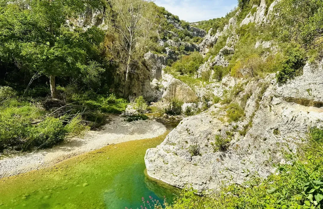 This image captures a beautiful natural canyon with a vibrant green river flowing through it. The composition effectively leads the eye into the scene, with large rocks and lush foliage framing the waterway. The image is sharp throughout, and key elements are well in focus.