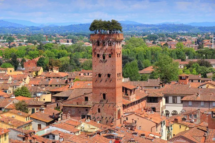 An aerial view of the historic Guinigi Tower in Lucca, Italy, showcasing its distinctive trees atop, surrounded by a dense cluster of traditional terracotta rooftops under a clear blue sky.
