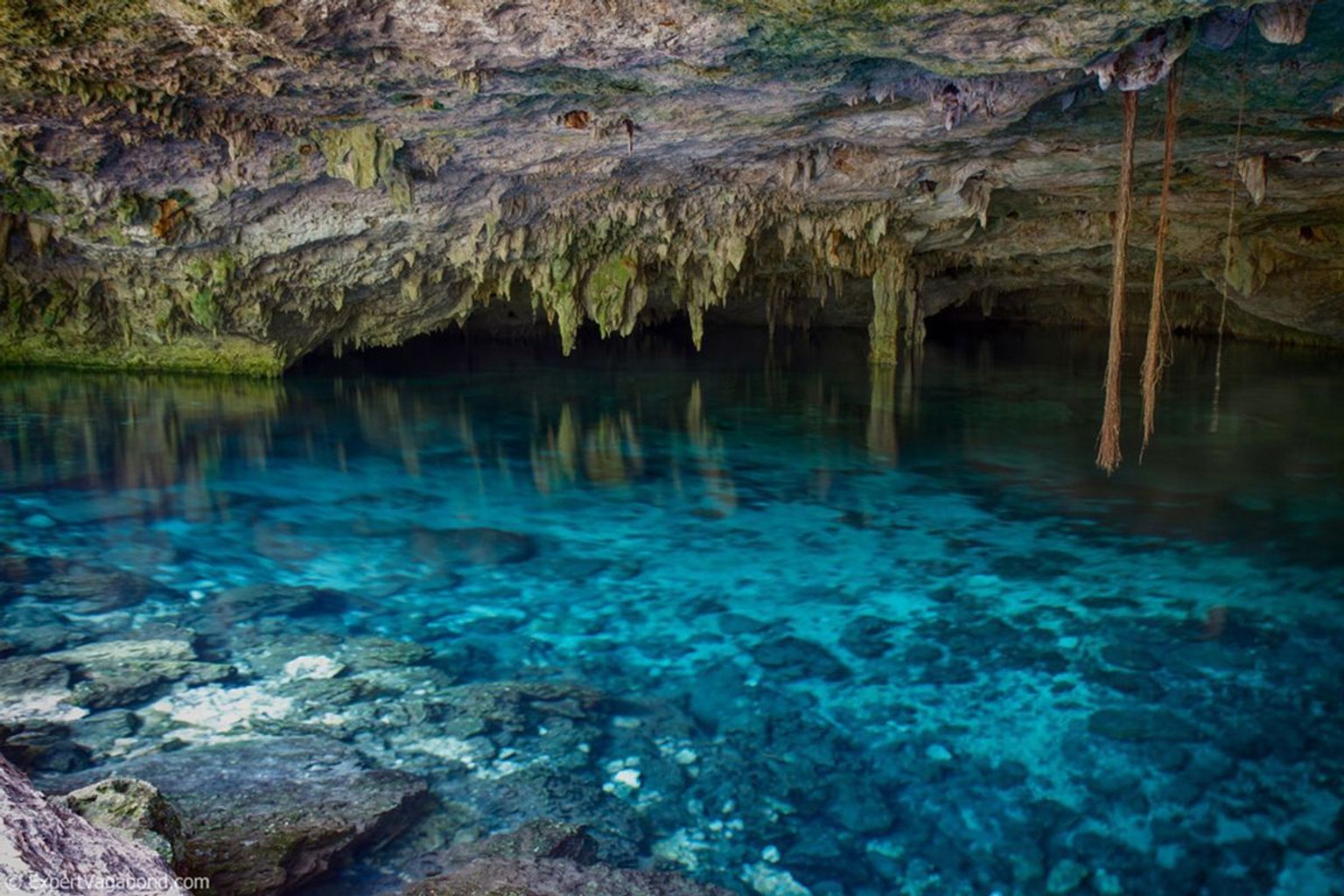 Cenotes 2 Ojos - 6