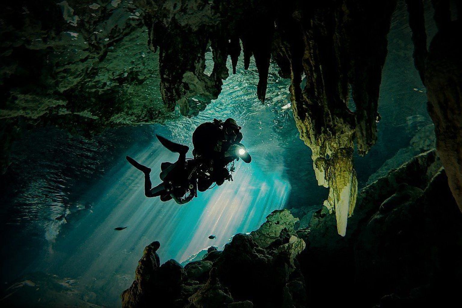Cenotes 2 Ojos - 5