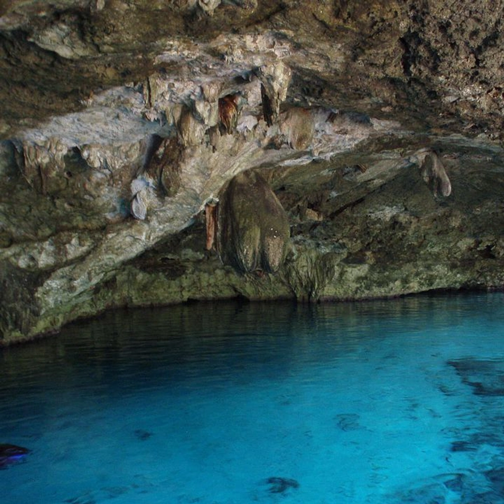 Cenotes 2 Ojos - 4