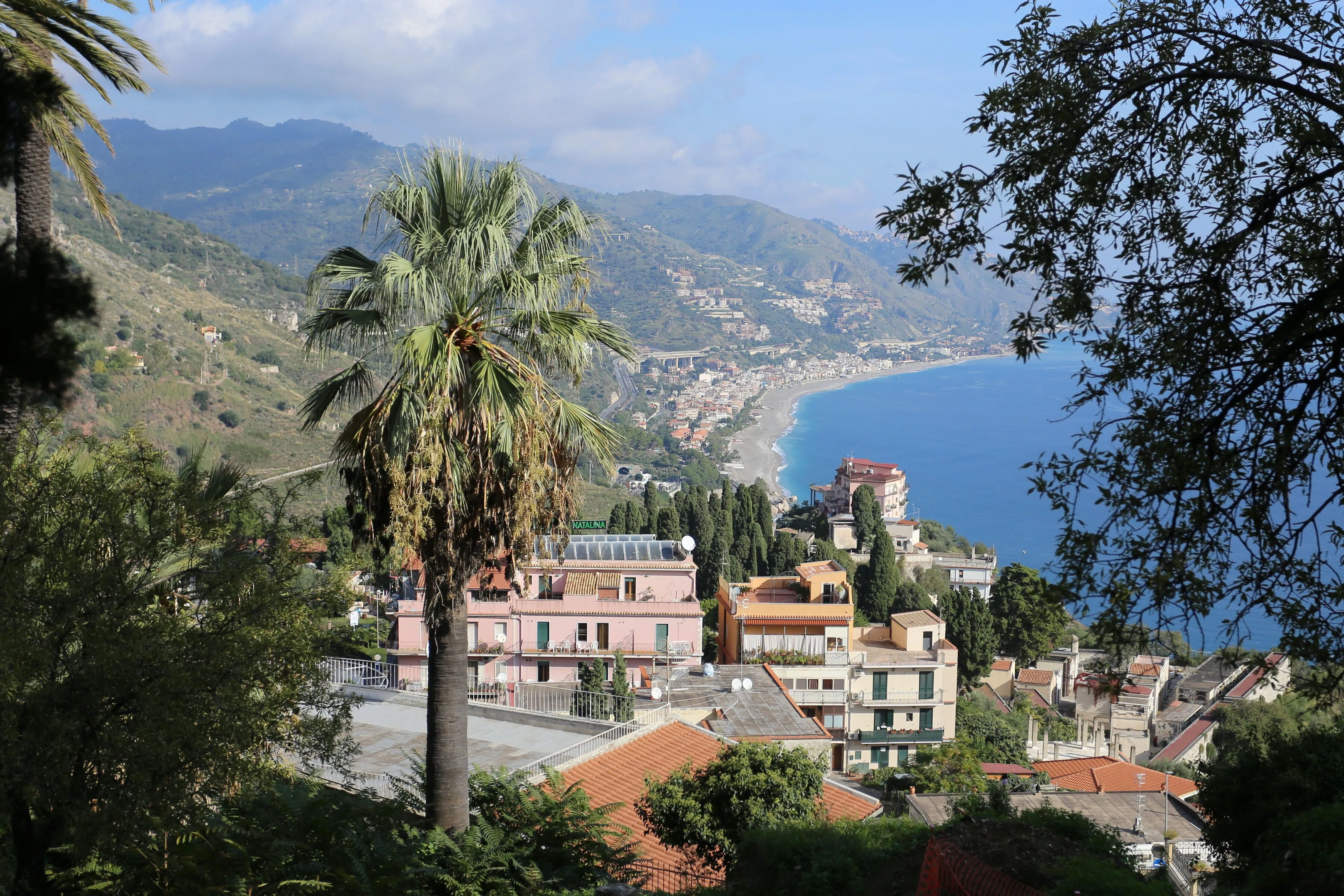 This is a vibrant and sharp photo of a coastal town nestled in mountains, with a prominent palm tree in the foreground. The image exhibits excellent lighting, contributing to accurate and lively colors, particularly the striking blue of the sea and sky. Key elements like the palm tree, buildings, and the distant coastline are well in focus, enhancing the overall photo-realism. The composition effectively captures the scenic beauty and depth of the scene.