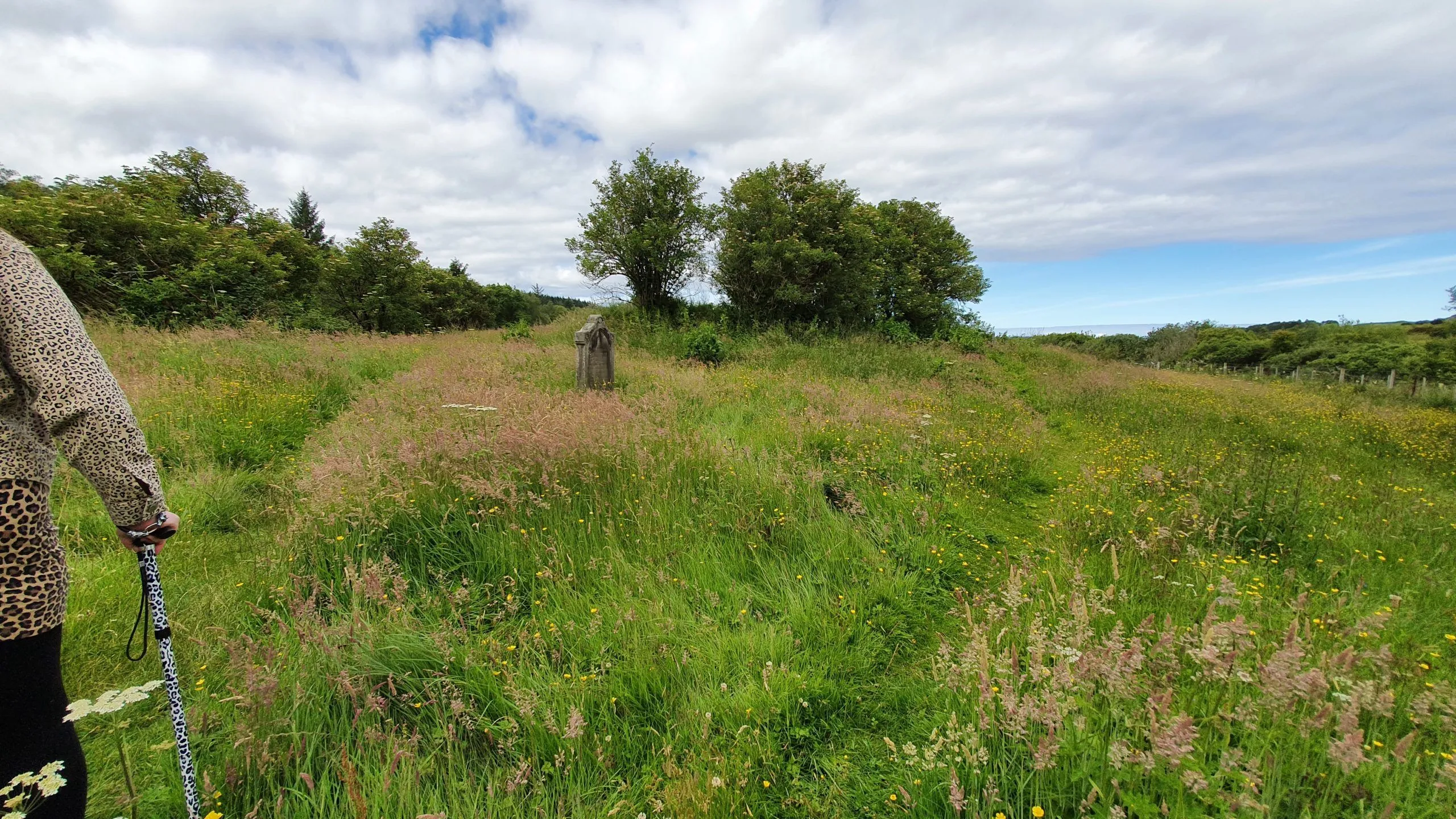 The image demonstrates good natural lighting and realistic colors, contributing to its photo-realistic quality. Key elements, such as the stone monument, are in focus. However, the composition could be improved, as the main subject is somewhat small and the foreground, while sharp, is busy with tall grass.