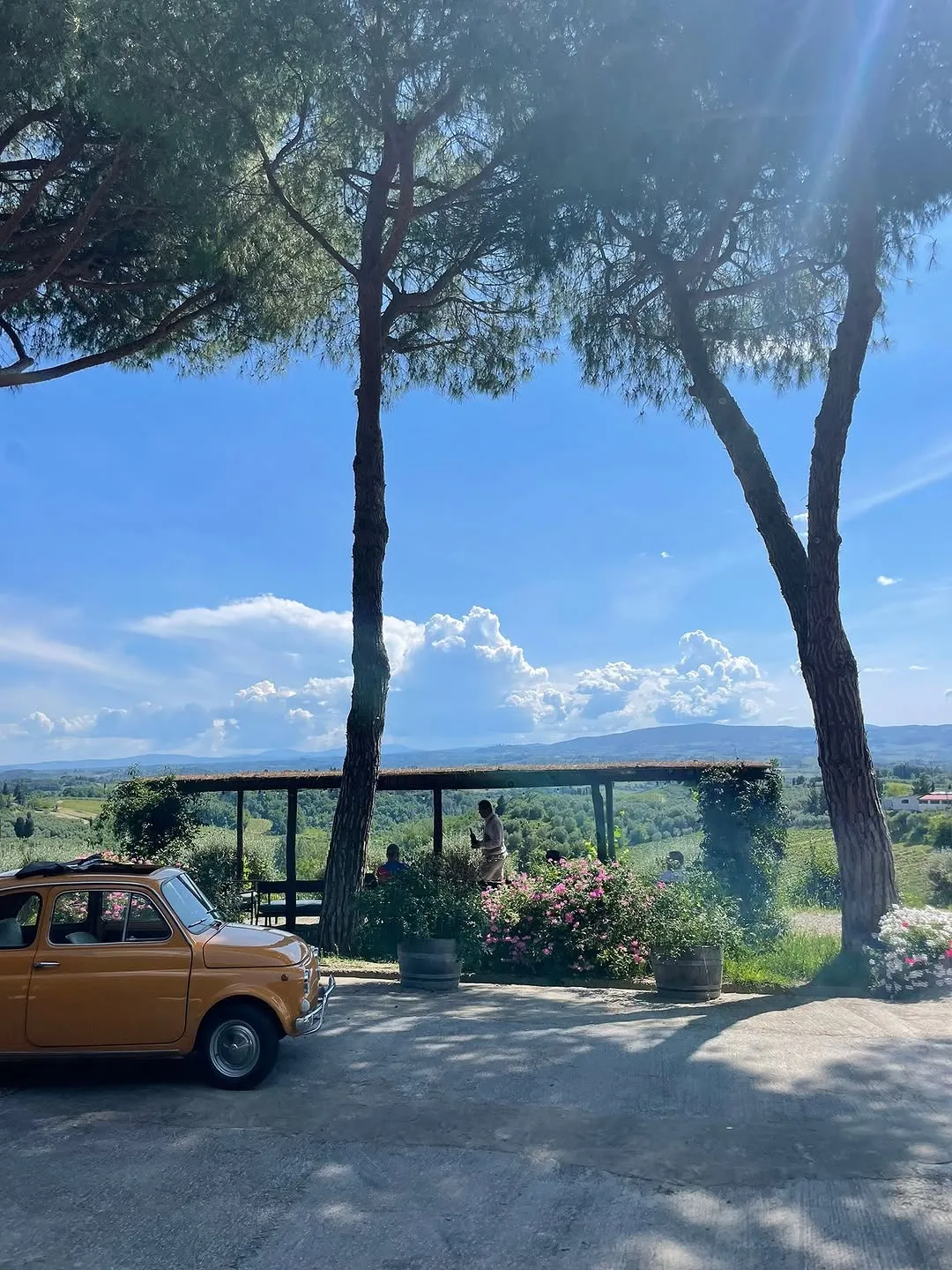 The image is well-composed with natural framing elements and vibrant, accurate colors, presenting a clear and photo-realistic view of a scenic landscape. Key elements from the foreground to the background are sharp and in focus. The lighting is good overall, contributing to a bright scene, although some foreground shadows are slightly underexposed.