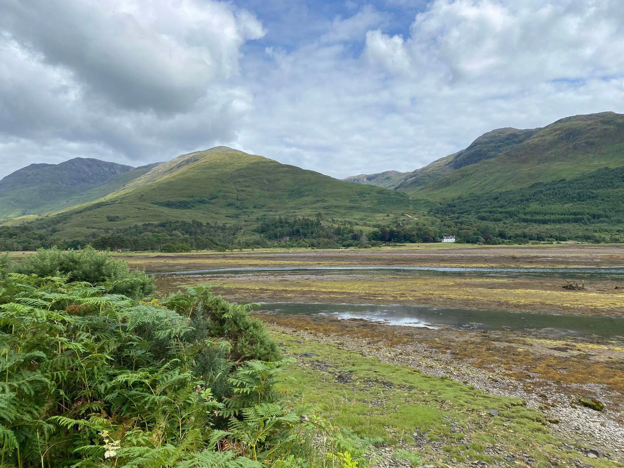 A serene landscape photograph featuring verdant mountains, a body of water or marshland, and a cloudy sky. The foreground includes lush green ferns, leading to a middle ground with reflective water and earthy tones, and culminating in distant, rolling hills. A small white building is visible in the distance, adding a touch of human presence to the natural setting.