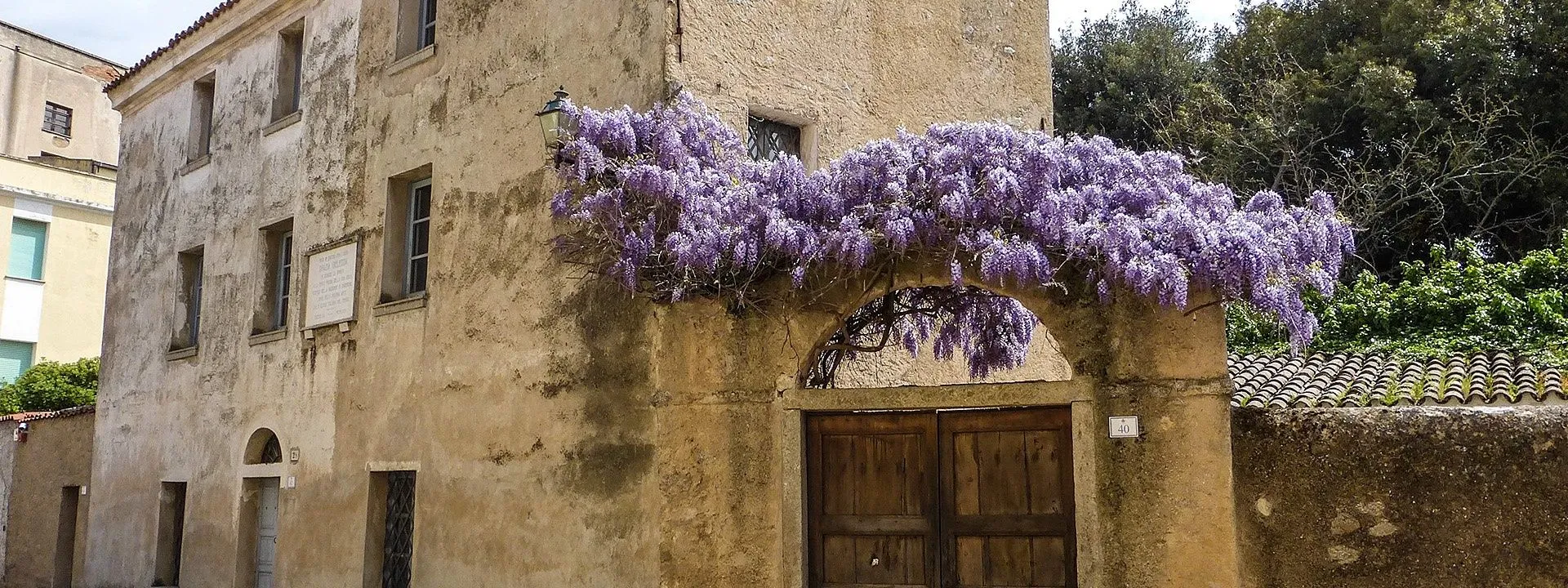 A historical building with an arched wooden door, adorned with vibrant purple wisteria cascading over the entrance and a wall-mounted lantern.