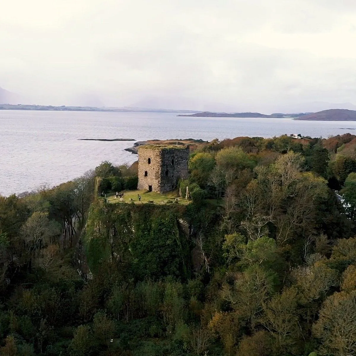 The image is well-composed with the castle as a clear focal point amidst natural scenery. It exhibits good sharpness throughout, particularly on the castle structure, and is highly photo-realistic with accurate colors that reflect the natural light conditions. The main elements are clearly in focus. The primary weakness is the somewhat flat lighting, which appears to be due to an overcast sky, making the overall scene less dynamic and certain areas, like the foreground forest, appear a bit dark.
