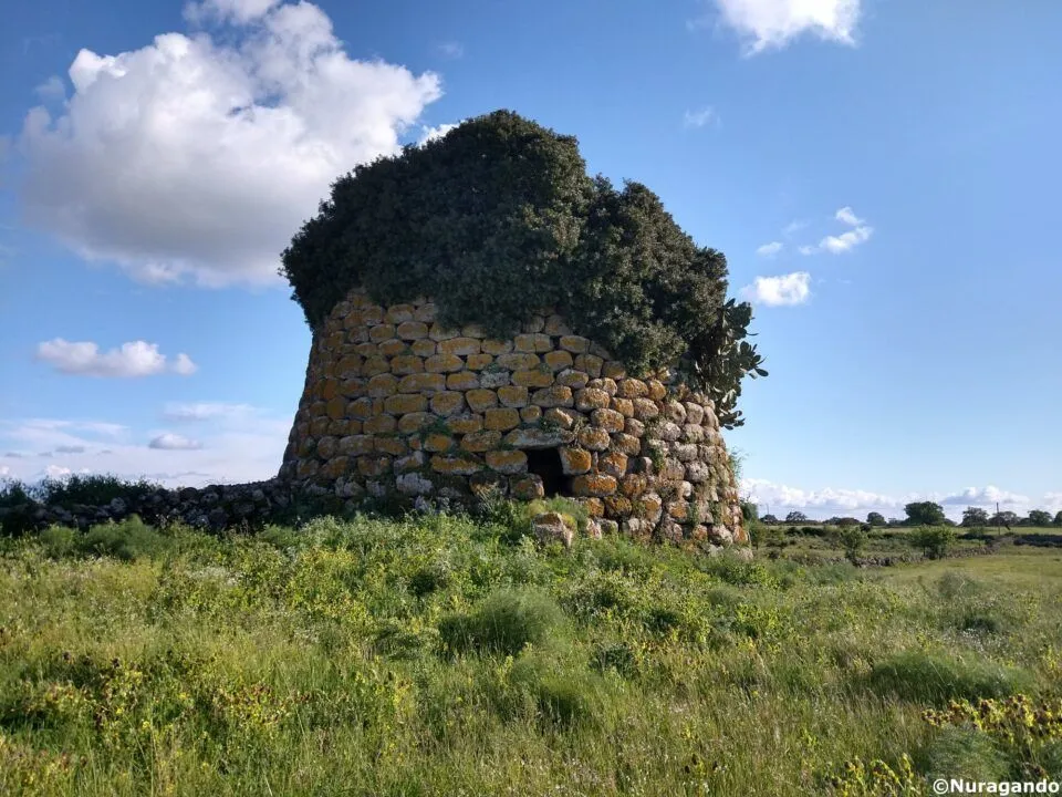 An ancient stone tower (likely a Nuraghe) covered with dense green foliage, standing prominently in a grassy field under a bright blue sky with scattered white clouds.