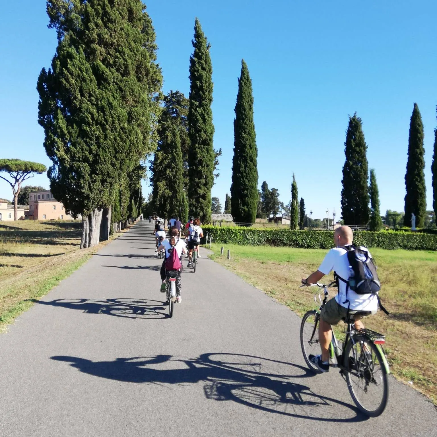 A group of people are seen cycling down a scenic paved road lined with tall cypress trees under a clear blue sky. The image captures the dynamic movement of the cyclists from a rear perspective, with strong sunlight casting long shadows.