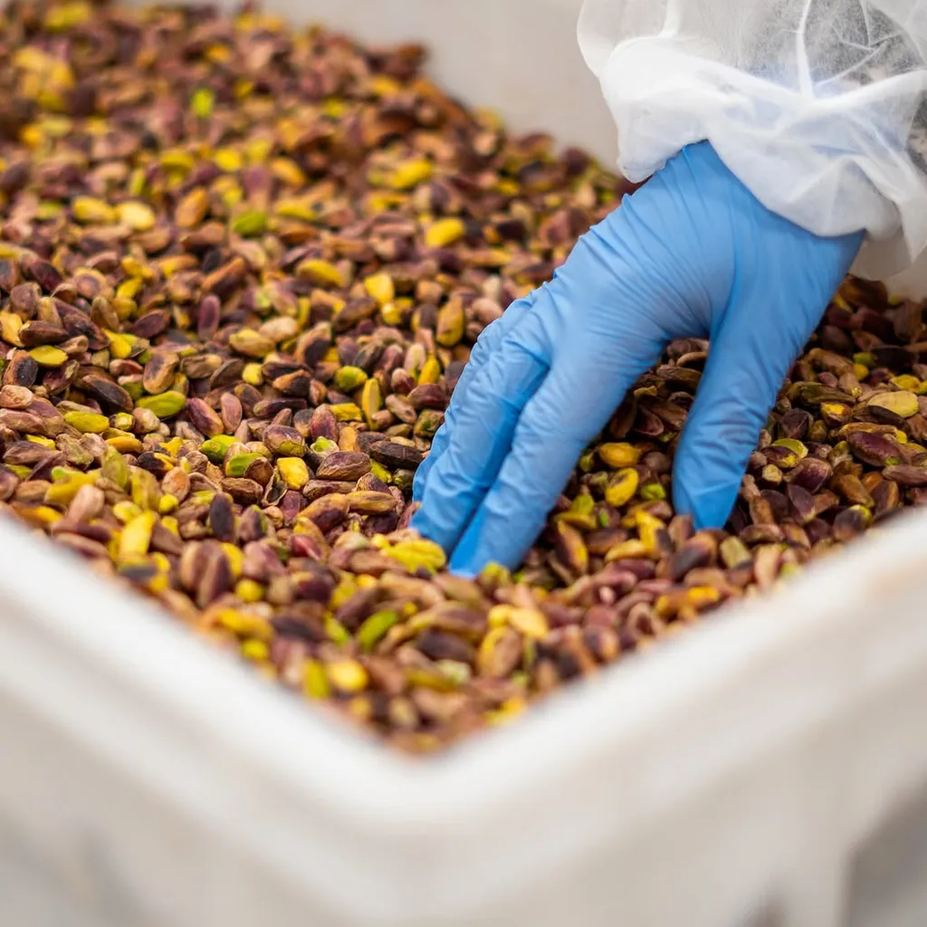 The image is sharp and well-lit, showcasing a large quantity of pistachios with natural and vibrant colors. The key elements, including the pistachios and the gloved hand, are clearly in focus. The photo-realistic quality is excellent, and the overall composition is effective, giving a sense of scale and process.