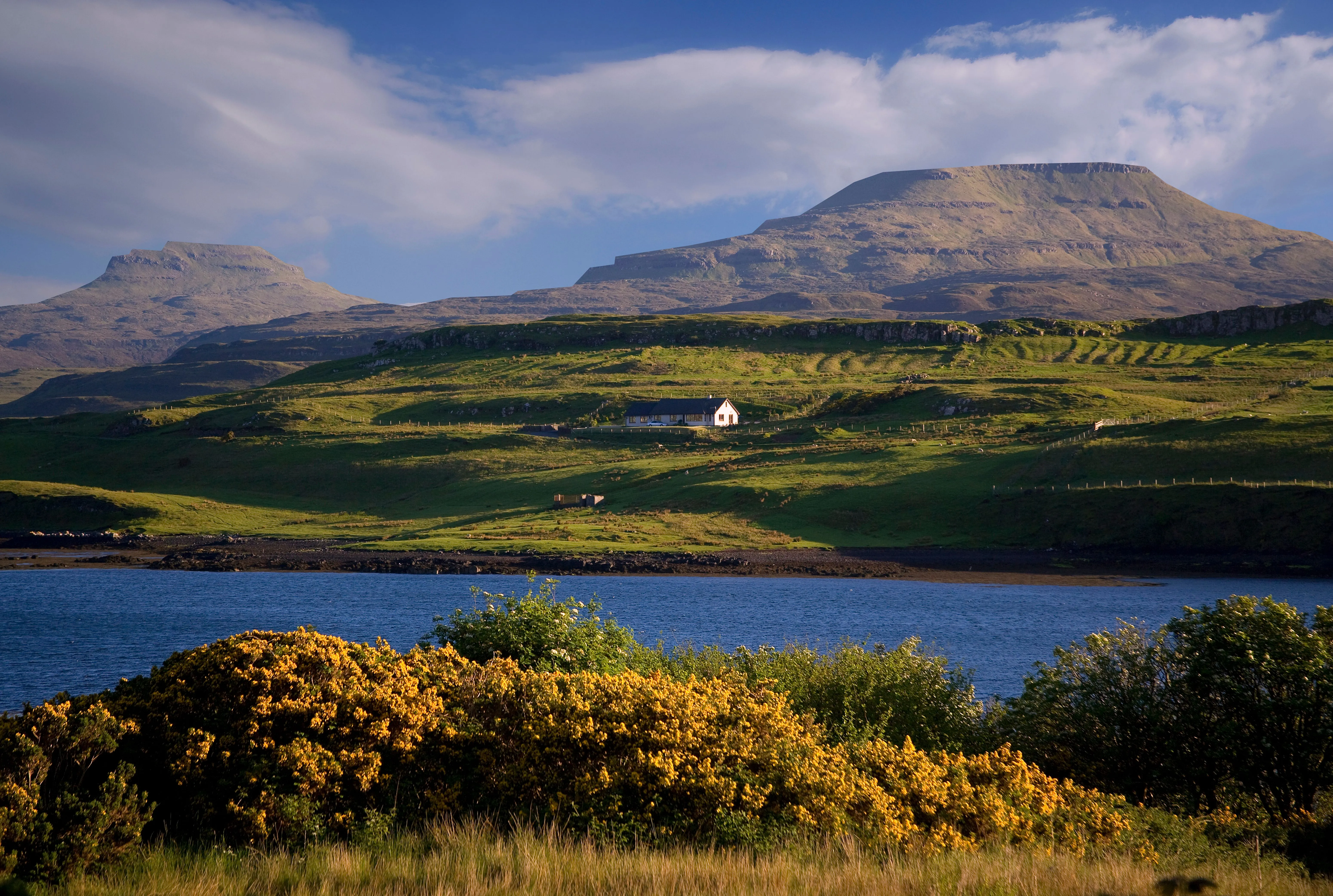 An editorial quality landscape image featuring a small white house nestled in green rolling hills overlooking a body of blue water. The foreground is adorned with vibrant yellow flowering bushes, leading the eye towards the distant mountains under a blue sky with some clouds.
