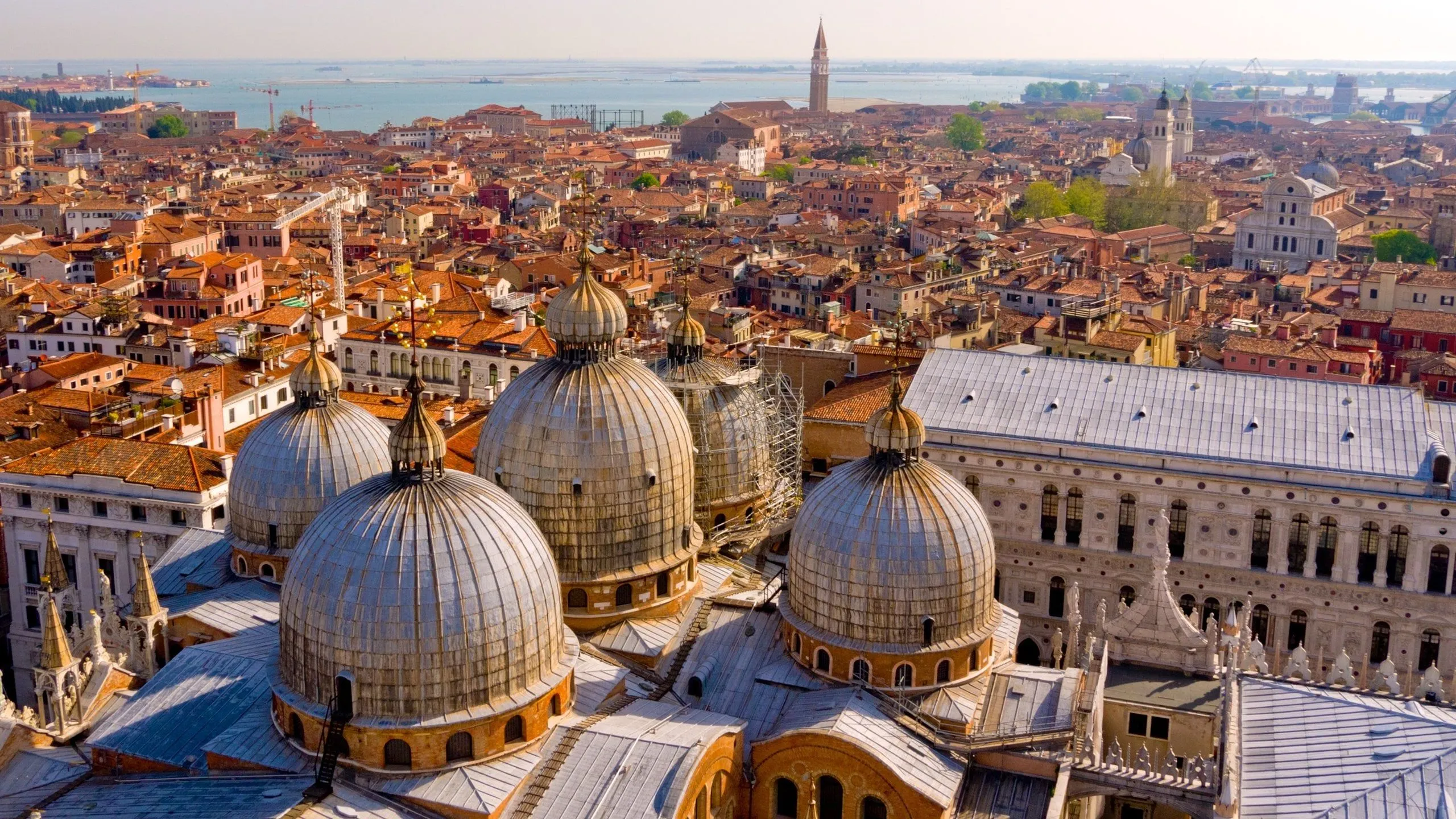 An elevated view of Venice, Italy, showcasing the domes of St. Mark's Basilica in the foreground with the dense cityscape of terracotta rooftops extending towards the lagoon and distant campanile under clear skies.