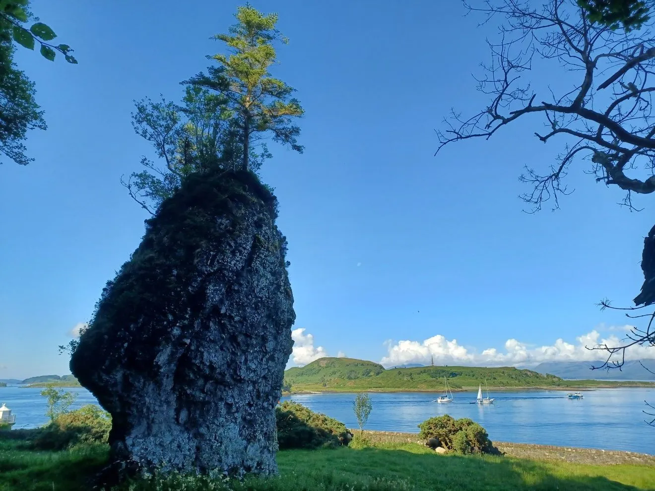 A serene landscape captured under a clear blue sky, featuring a prominent, moss-covered rock with a tree growing atop it in the foreground. In the mid-ground, a tranquil body of water with distant green islands and a few sailboats is visible.