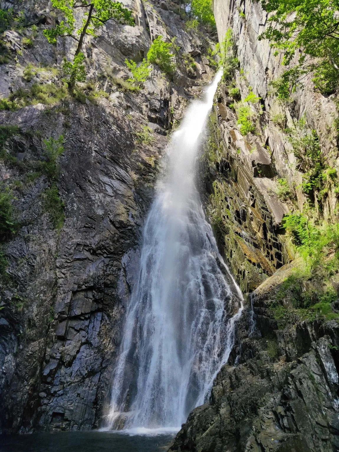 A vibrant, well-composed photograph of a majestic waterfall cascading down a rocky mountain face, surrounded by lush green vegetation.
